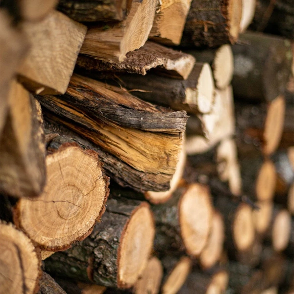 Дрова акация