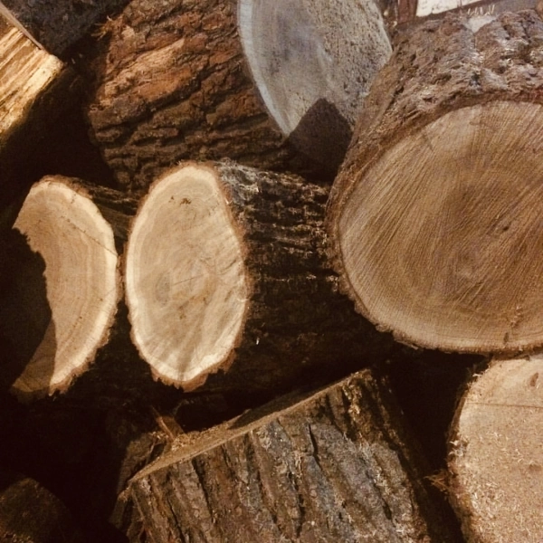 Дрова дубовые